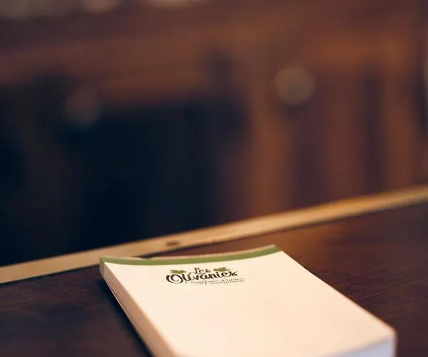 Les Olivanies B&B Monthelon (Marne)